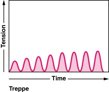 A graph of tension against time showing a row of separate twitches, each fully relaxing before the next, with each peak slightly higher than the one before it, like steps on a staircase.