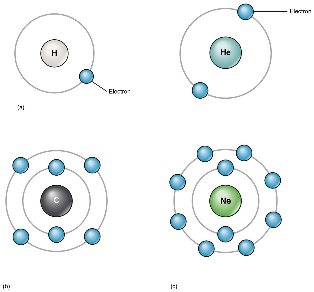 Four atoms drawn as a central nucleus ringed by electron shells. Hydrogen has one electron in its only shell and helium has two. Carbon has a full inner shell of two and four electrons in its second shell. Neon has two electrons in the inner shell and eight in the second, so both shells are full.