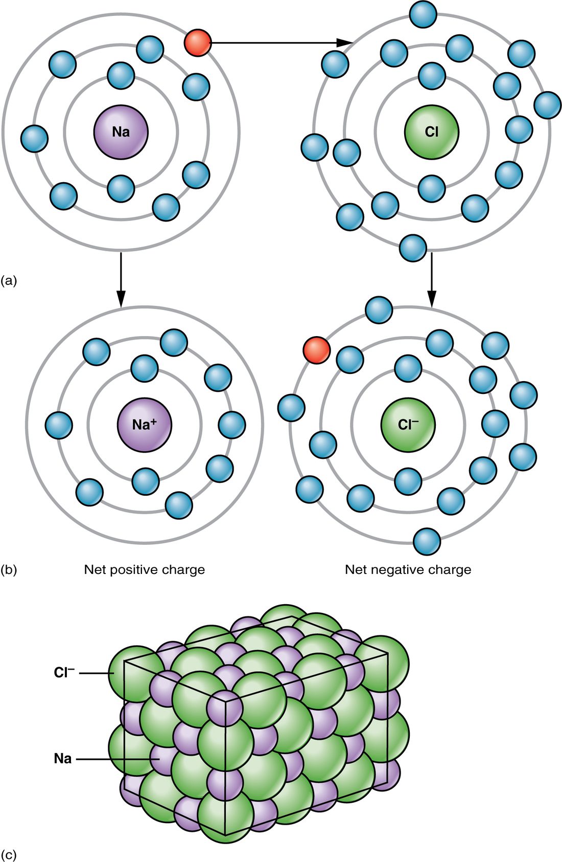 A sodium atom hands the single electron in its outer shell to a chlorine atom. The result is a positively charged sodium ion and a negatively charged chloride ion, which attract each other. Below, many of these ions pack together in a repeating cube-shaped crystal.