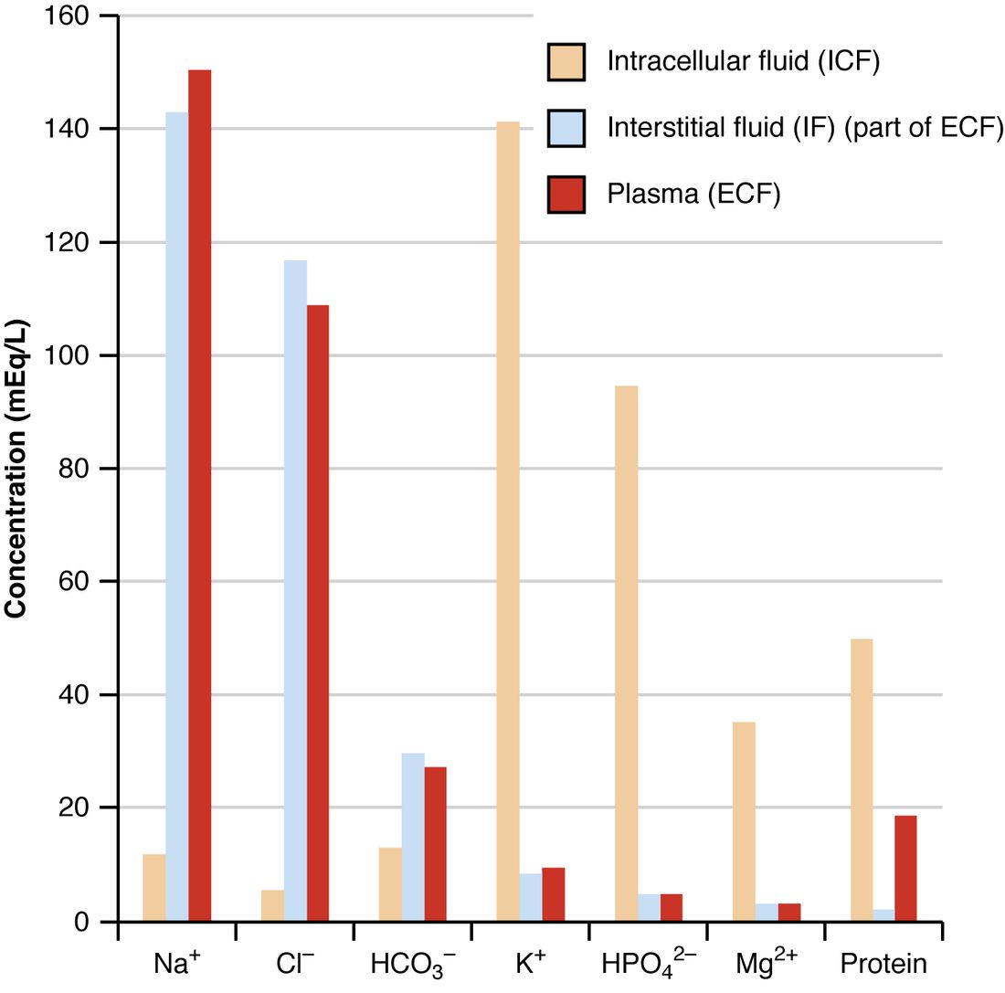 A bar graph of concentration in milliequivalents per liter, from 0 to 160, for seven solutes, each with three bars: intracellular fluid (tan), interstitial fluid (light blue) and plasma (red). Sodium is about 12 inside cells but about 143 in interstitial fluid and 150 in plasma. Chloride is about 5 inside cells and 110 to 117 outside. Bicarbonate is about 13 inside and 27 to 30 outside. Potassium is about 141 inside cells and 8 to 9 outside. Hydrogen phosphate is about 95 inside and about 5 outside. Magnesium is about 35 inside and about 3 outside. Protein is about 50 inside cells, about 2 in interstitial fluid and about 19 in plasma.